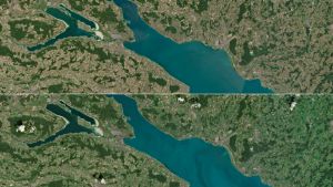 So schnell kann es gehen! Satellitenbilder zeigen, wie die Region in kurzer Zeit wieder ergrünt ist