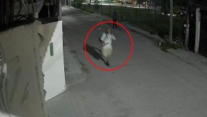 Quién es Paco 'el Trompas', un conocido delincuente de Cuautla y presunto asesino de la estudiante española Claudia Tacoronte