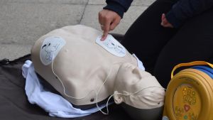 Leben retten leicht gemacht: Feuerwehr und DRK laden zum Aktionstag mit exklusiven Einblicken