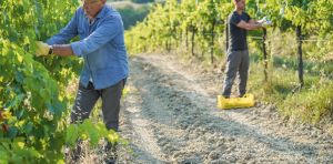 Les agriculteurs de demain seront‑ils encore des enfants d’agriculteurs ?