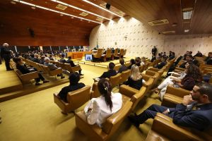 O processo como instrumento de segurança