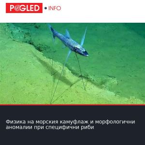 Физика на морския камуфлаж и морфологични анoмалии при специфични риби