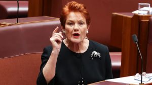 Politicians’ rethink on immigration demands sober analysis