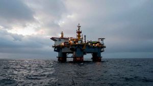 Court halts Sea Lion project in Malvinas, orders environmental impact assessment