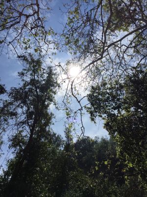 Yom HaDin: Looking for the Good