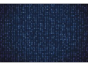 DELANEY: An AI data centre for Cape Breton is worth a look