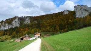 Auf den Spuren von Legenden und Naturschätzen: Geheimnisse der Donauwanderung bei Beuron
