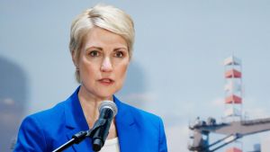 AfD di nuovo alla prova nel Meclemburgo-Pomerania
