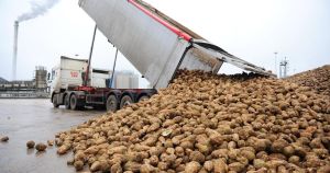 'Frustration and uncertainty' as talks stall between farmers and sugar factory bosses