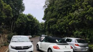 ¡Que no aparezca algún fósil en la Avenida de Anaga!