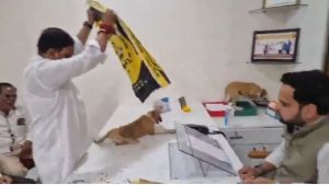 Frustrated over dog menace, Shiv Sena workers place strays on civic officer's table | Video