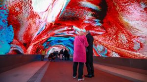 Nuovo record per la Dag di Gorizia: oltre 500.000 visitatori alla galleria digitale