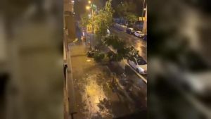 Parlon defiende que el ES-Alert no llegó tarde y se envió al crecer el riesgo: 