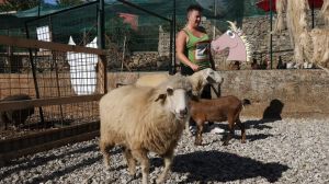 Centro vacanze di Sales chiuso: interviene la Forestale