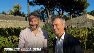 Scavi di Pompei, raccolti i primi grappoli delle vigne urbane. I vini saranno in commercio a partire dall'annata 2028