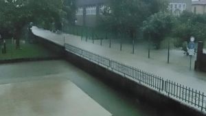 Maltempo, in Friuli alberi caduti e allagamenti: raffiche di vento oltre i 70 km/h