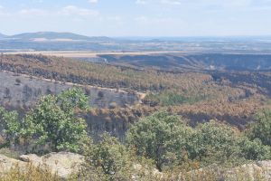 Incendios, hasta el próximo verano