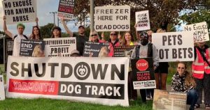 Activists call for end to greyhound racing at Norfolk venue