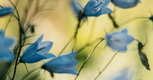 How Self-Compassion Changes the Way We Experience Failure