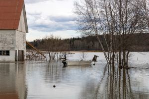 45%: on peut supprimer l’ESG des rapports, pas la facture liée aux catastrophes