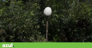 Em prol das culturas regenerativas