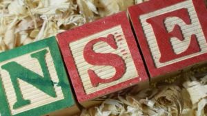 NSE IPO: 43% subscription on day 1; GMP crawls down | Would you bid?