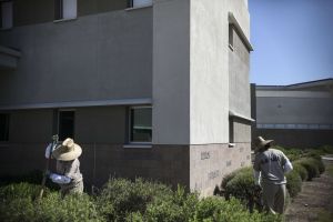 California Eyes Prison Heat Protections That Fall Short of Other Workplaces’