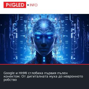 Google и HHMI сглобиха първия пълен конектом: От дигиталната муха до невронното робство