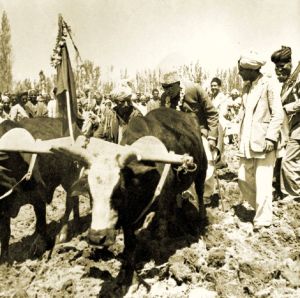 Land-to-the-Tiller Was Only Half of Kashmir’s Economic Story