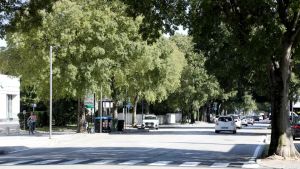 A Pordenone viali Libertà e Grigoletti più green: progetto da 43 milioni per ridurre l’asfalto e creare un corridoio verde