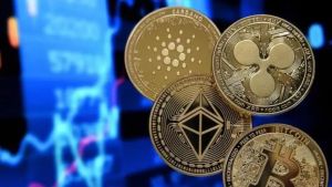 Truffa Nft, spariti anche i dati: ceduti tutti i nomi dei clienti