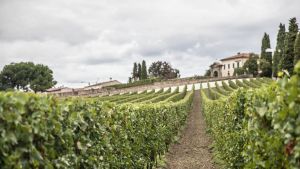 Franciacorta in Festival tra astrologia, bollicine e voli in mongolfiera