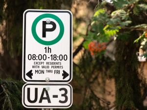 Lorne Gunter: Councillor's push for street parking permit punishes residents Tens of thousands of Edmontonians now live in neighbourhoods which, by the city’s own design, have no driveways or alleys. Parking on the street is their only option