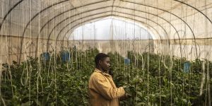 Africa’s AI Opportunity