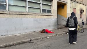 La rue met au monde ses propres enfants