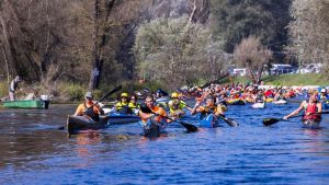 Domenica a Pavia torna la Ticino Marathon