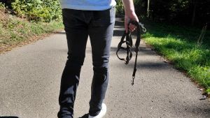 Nach Hunde-Angriff auf Reh: Ordnungsamt schätzt die Gefahr als gebannt ein
