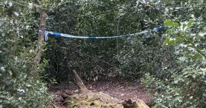 Police cordon off woodland as emergency services attend incident