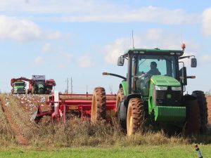COMMENTARY: All hands on deck