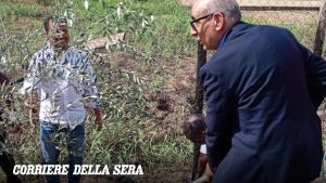 Castel Volturno, l'arcivescovo pianta un ulivo dove il governo vorrebbe il Cpr
