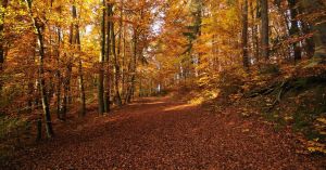 Torna setembre