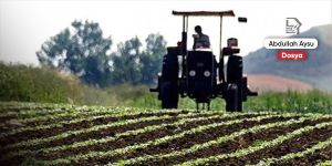 Orta Vadeli Program ve çiftçinin durumu