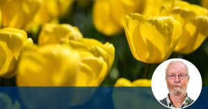 I've got some bright ideas about how to make Floriade great again