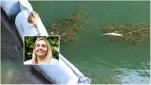 Bonifica della roggia Soncina, l’appello del sindaco: “Danni ingenti, i Comuni non ce la fanno da soli”