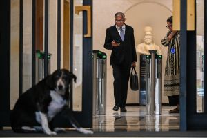 In boardroom rebellion in Tata Sons, a modern-day Greek tragedy