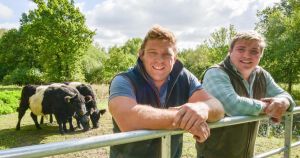 Former rugby star's family farm brings back cattle for the first time in 26 years