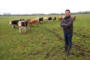 Why do farmers wield such disproportionate power in Ireland? Look at Leinster House