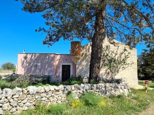 Giornata Diocesana del Creato 2026, veglia di preghiera a Torre dei Guardiani Jazzo Rosso