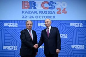 Brics : la résilience molle