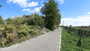 Maximale Bebauung im Höhenweg? Diesem Projekt wird in Konstanz eine klare Absage erteilt